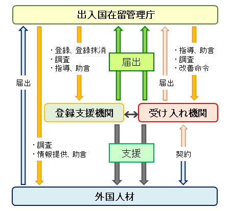 出入国在留管理庁と受け入れ期間の関係